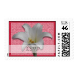 Lily with Hot Pink RSVP Postage