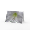 Lily With sympathy cards by grammasue319 Lily With sympathy cards