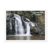 Lilydale falls, Tasmania postcards by leksele Lilydale falls, Tasmania postcards