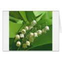 lilyofthevalley cards by kathiscc lilyofthevalley cards