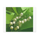 lilyofthevalley postcards by kathiscc lilyofthevalley postcards