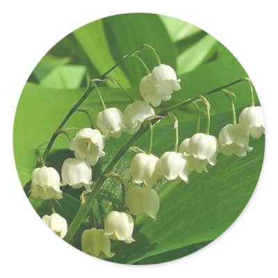 lilyofthevalley stickers by kathiscc