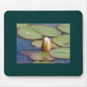 Lilypad Mouse Pad mousepads