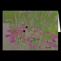 Lilypad Pond Art Card cards