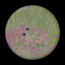 Lilypad Pond Art Magnet