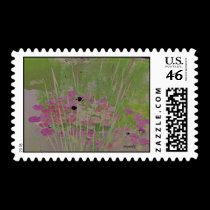 Lilypad Pond Art Postage stamps
