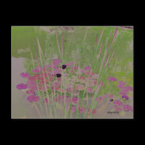 Lilypad Pond Art Postcard postcards