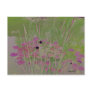 Lilypad Pond Art Postcard