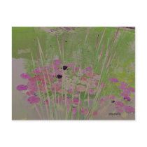 Lilypad Pond Art Postcard