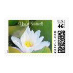 Lilypad Postage