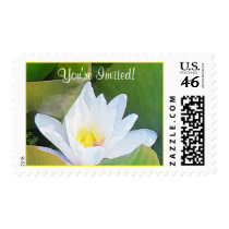 Lilypad Postage stamps