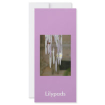 Lilypads Rack Card Design