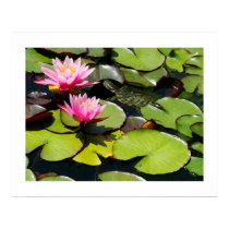 Lilypads & Turtle Print