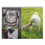 Lily's Pride Pugs 2009 Calendar