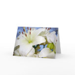 Lilywhite Lily cards