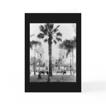 Lima, Peru Cathedral 1902 cards by lc_vintagephotos Lima, Peru Cathedral 1902 cards