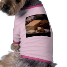 Limberger Cheese Dog T-shirt
