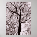 limbs of virtue poster