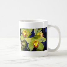 Lime Cymbidium flowers Mug