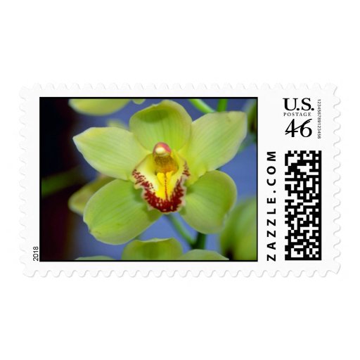 Lime Cymbidium flowers Stamp