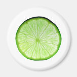 Lime Fruit Slice Isolated Over White Background Magnet