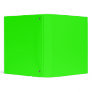 Lime Green Avery Binder