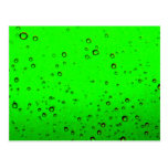 Lime Green Bubbles Postcard