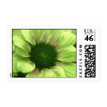 Lime Green Daisy Flower Stamp
