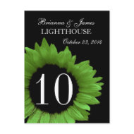 Lime Green Sunflower Wedding Table Number postcard