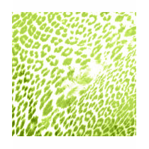 Lime Leopard Print t-shirts