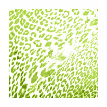 Lime Leopard Print t-shirts