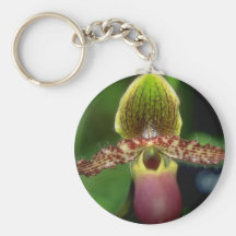 Lime Paphiopedilum argus flowers Key Chain