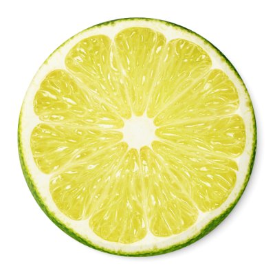 Lime Slice Refrigerator Magnets by pixelholic
