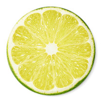 Lime Slice magnets