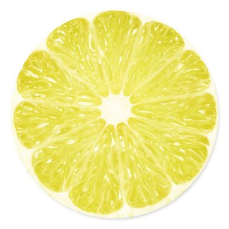 Lime Slice sticker