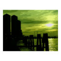 Lime Squash posters by Debrene Lime Squash posters