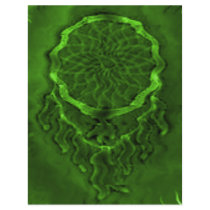 'Lime Wave' Flyers