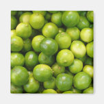 Limes Magnet 01