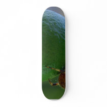 Limes Spiders Fruit Insects Skateboard