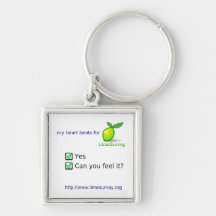 LimeSurvey Multiple Choice Key Chains