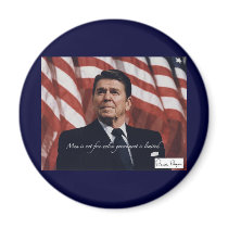 Limited Government magnets