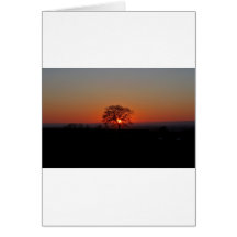 LIMITLESS HORIZONS....... GREETING CARD