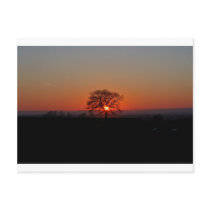 LIMITLESS HORIZONS....... POSTCARD