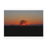 LIMITLESS HORIZONS....... postcards