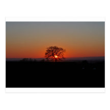 LIMITLESS HORIZONS....... POSTCARD