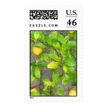 Limone postage