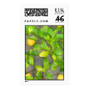 Limone postage by growyourmoneytree Limone postage
