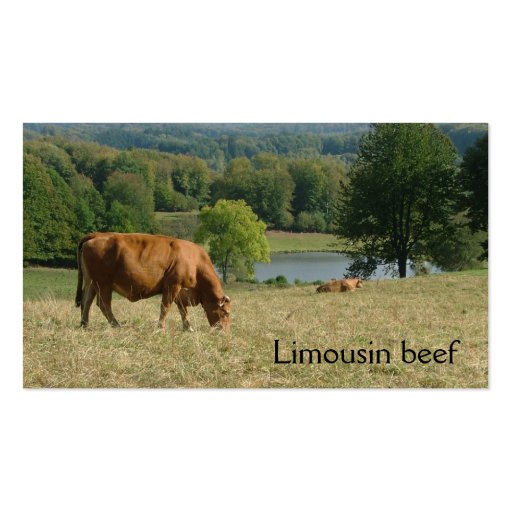 Limousin beef cattle business card (front side)