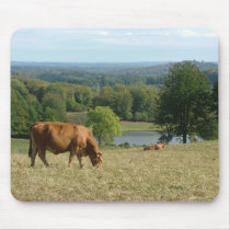limousin cattle mousepads