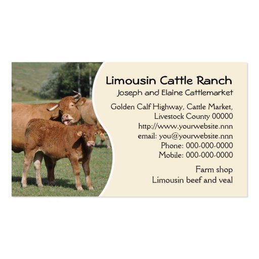 Limousin cattle ranch business card (front side)